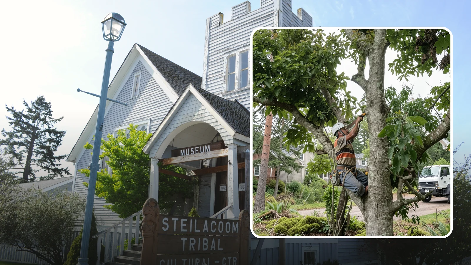 Tree Pruning in Steilacoom, Pierce County, WA - The removal of specific branches to improve a tree's structure, health, and safety.