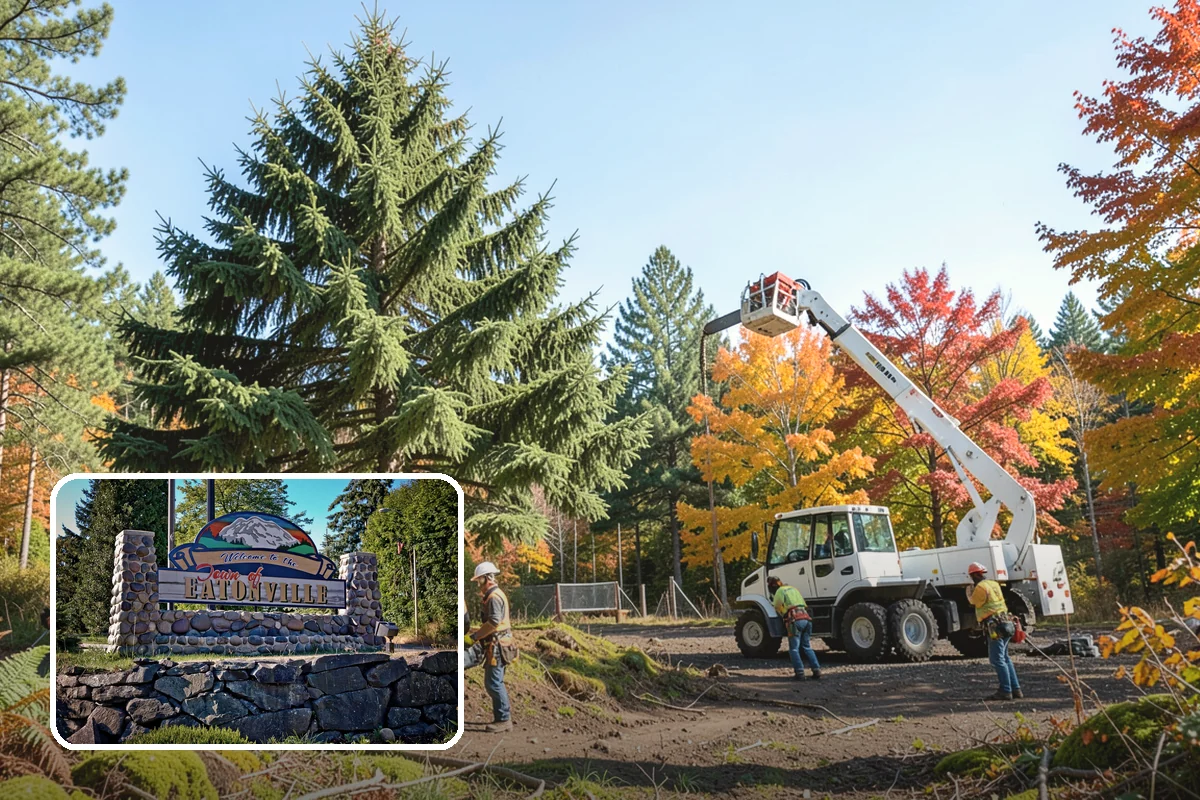 Wood milling in Eatonville, Pierce County, WA - Turns removed wood and debris into usable products
