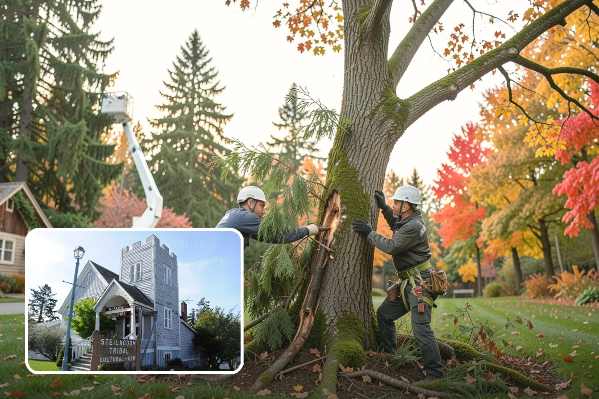 Wood milling in Steilacoom, Pierce County, WA - Turns removed wood and debris into usable products